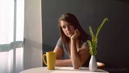 Lynda - The Elements of Effective Photographs