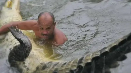 National Geographic - Explorer 125: The Man Who Swims with Crocodiles (2013)