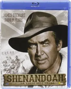 Shenandoah (1965)