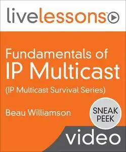 Fundamentals of IP Multicast (IP Multicast Survival School Series)