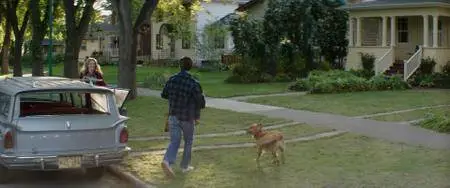 A Dog's Purpose (2017)