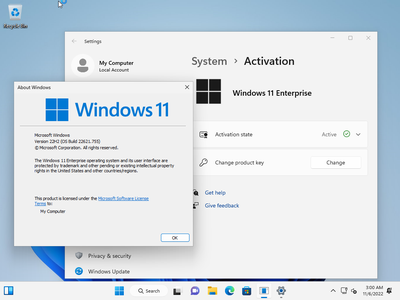 Windows 11 Enterprise 22H2 Build 22621.819 (No TPM Required) Preactivated Multilingual