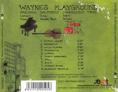 Lorenzo Paesani, Luca Dal Pozzo, Dario Mazzucco - Wayne's Playground (2011) {Abeat}