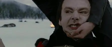 The Twilight Saga: Breaking Dawn - Part 2 (2012)