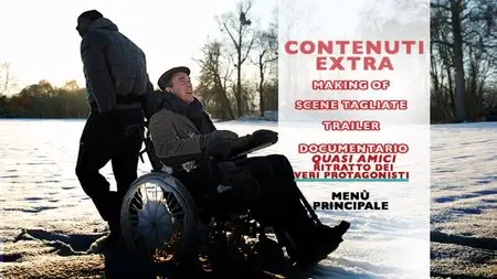 Quasi Amici (2011)