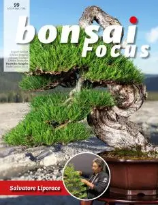 Bonsai Focus (German Edition) - September-Oktober 2019