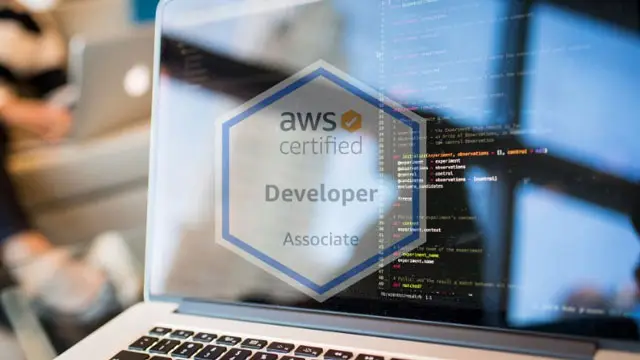Ultimate AWS Certified Developer Associate 2020 Masterclass