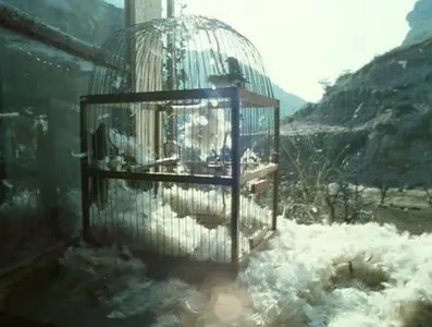 Save and Protect (Madame Bovary) / Спаси и сохрани (1990)