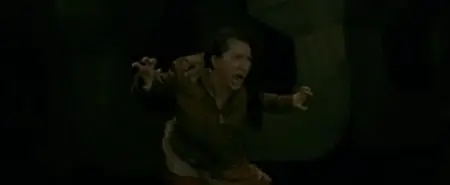 The Treasure Hunter (2009)