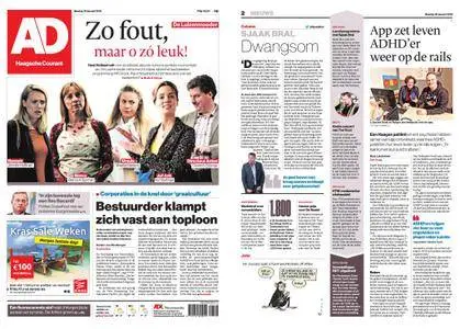 Algemeen Dagblad - Delft – 30 januari 2018
