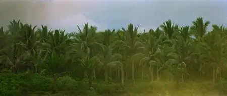 Apocalypse Now (1979)
