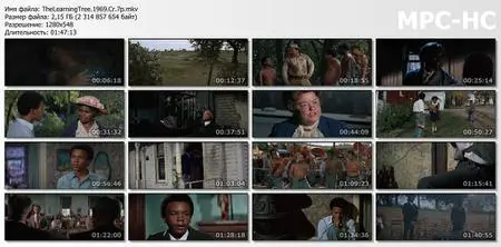 The Learning Tree (1969) [The Criterion Collection]