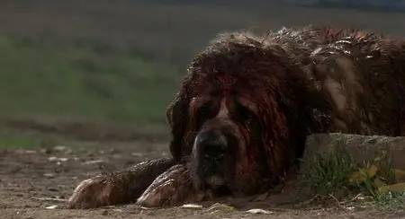 Cujo (1983)