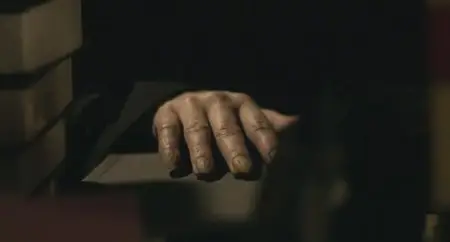 30 Days of Night: Dark Days (2010)