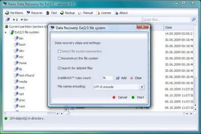 Raise Data Recovery for Ext2/Ext3/Ext4 v4.9.1 