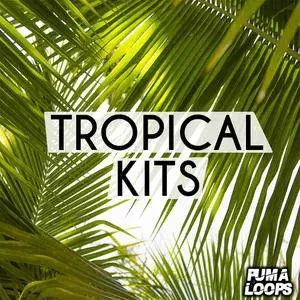 Puma Loops Tropical Kits WAV MiDi