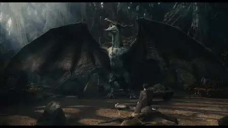 Dragons: Real Myths and Unreal Creatures (2013)  in 4K