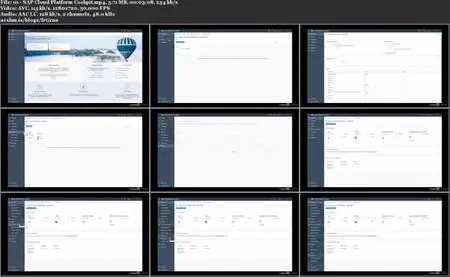 A Tour of the SAP Cloud Platform