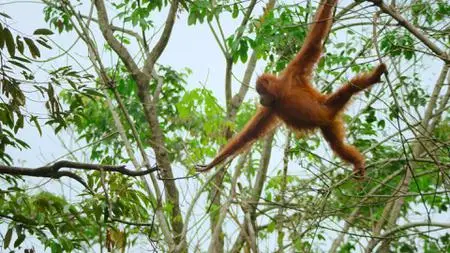 Our Great National Parks S01E05