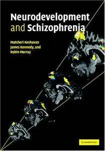 Neurodevelopment and Schizophrenia [Repost]
