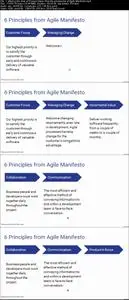 Product Owner - A Practical Way To Scrum Product Ownership