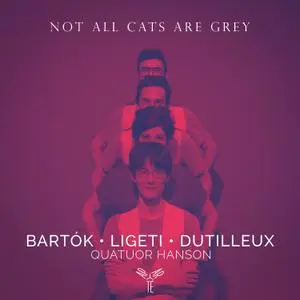 Quatuor Hanson - Not all cats are grey (2021) [Official Digital Download 24/96]