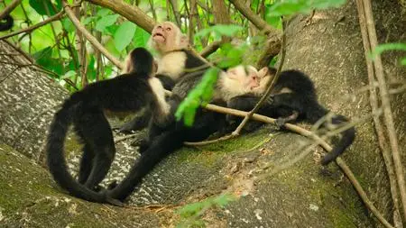 Wild Babies S01E04