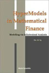 Hypermodels in Mathematical Finance