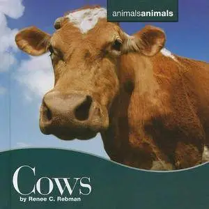 Cows (Animals, Animals)