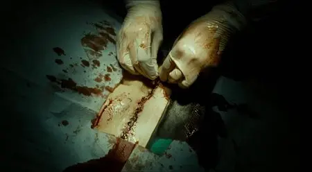 The Living And The Dead (2006)