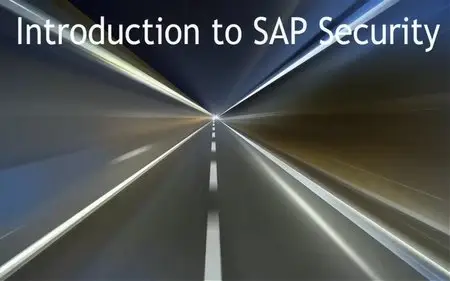 SAP - SAP Audit