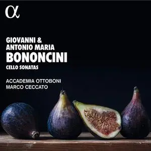 Marco Ceccato, Accademia Ottoboni - Giovanni & Antonio Maria Bononcini: Cello Sonatas (2022)