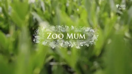 SBS - Zoo Mum (2020)