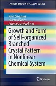 Growth and Form of Self-organized Branched Crystal Pattern in Nonlinear Chemical System (Repost)