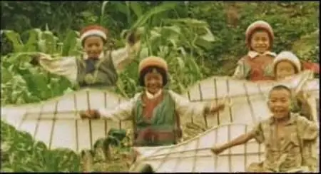 Takashi Miike-Chûgoku no chôjin ('The Bird People in China') (1998)