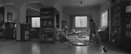 Roma (2018) [Criterion Collection]