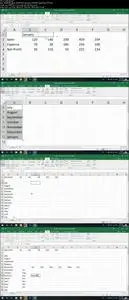 Microsoft Excel : Complete Excel for Absolute Beginners