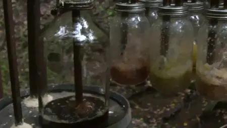 Moonshiners: Master Distiller S02E05 S03E00