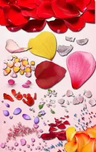 Petals of Flowers PNG Files