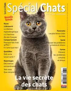 Spécial Chats N.61 - Octobre-Décembre 2023