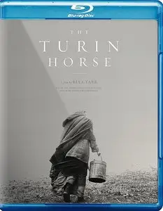 A Torinói ló (2011)