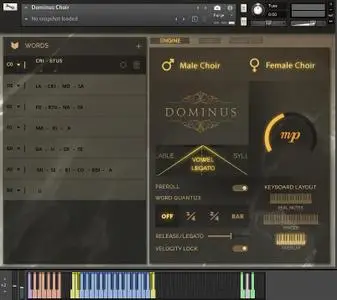 Fluffy Audio Dominus Choir KONTAKT