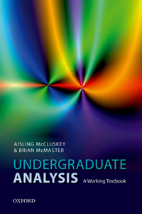 Undergraduate Analysis : A Working Textbook