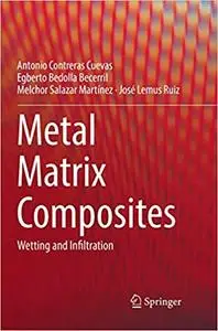 Metal Matrix Composites: Wetting and Infiltration (Repost)