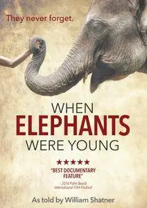 When Elephants Were Young (2016)