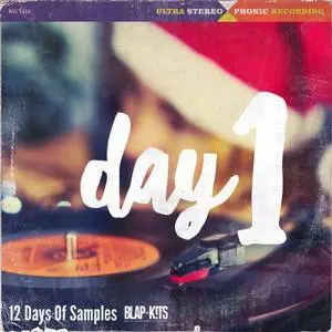!llmind Blap Kits 12 Days Of Samples - DAY 1 WAV