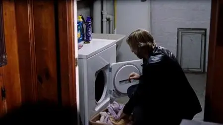 Roadie (2011)