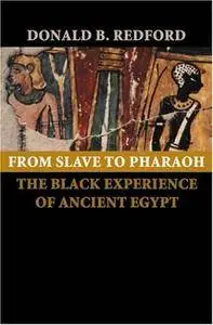 From Slave to Pharaoh: The Black Experience of Ancient Egypt