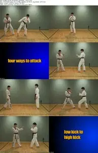 Osamu Inoue's Taekwondo Training