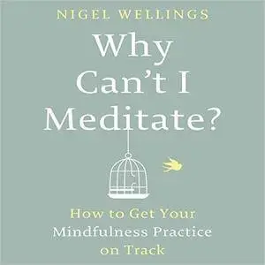 Why Can't I Meditate?: How to Get Your Mindfulness Practice on Track [Audiobook]